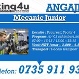 Mecanic Junior